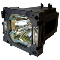 SANYO POA-LMP108 (610 334 2788) Lampa sa modulom